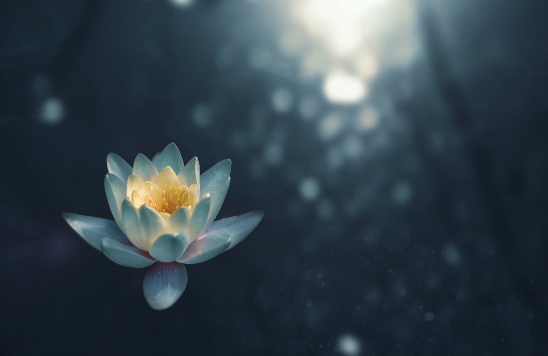 Benefits of Nourish's Approach to Yoga