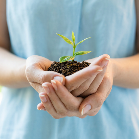 Nourish Starter Pack for accessible therapeutic yoga designed for chronic illness warriors, with hands holding soil and a small plant.